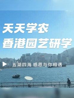 与香港园艺学会联合举办香港园艺研学，专业园境师带队讲解。