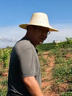 农业人叶涛，50多岁通讯人跨界搞农业，他要用1000万打造一个梦。